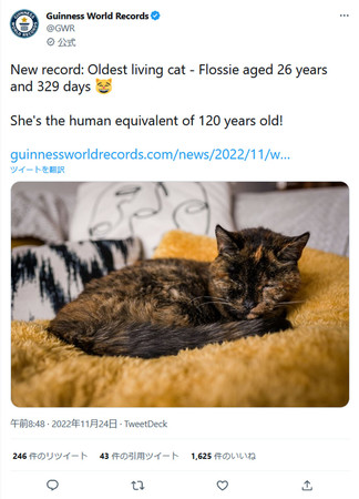 世界最高齢の存命猫(ギネスワールドレコーズの公式ツイッターより)
