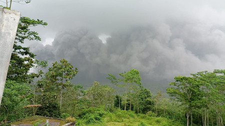 ４日、インドネシア・ジャワ島のスメル山が噴火し、噴煙が迫る近隣の森（国家災害対策庁提供・時事）