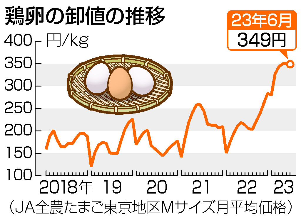 卵の卸値、前月比１円値下がり＝３４９円、依然高値―６月