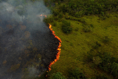 ブラジルのアマゾナス州で行われる農家による野焼き＝９月６日（ＡＦＰ時事）