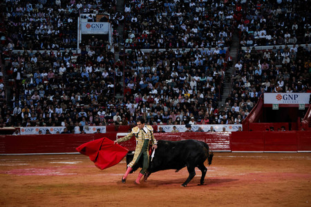 ２８日、メキシコ市で再開された闘牛（ＡＦＰ時事）