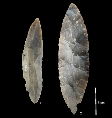 イルゼン洞窟で発掘された石器。現生人類（ホモ・サピエンス）が作ったと推定された（ドイツ・ラニス城博物館提供）