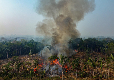 違法に焼き払われ炎を上げるアマゾンの熱帯雨林＝２０２３年９月、ブラジル北部アマゾナス州（ＡＦＰ時事）