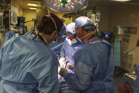 米東部ボストンのマサチューセッツ総合病院で行われたブタ腎臓の人への移植手術＝１６日（同病院提供）（ＡＦＰ時事）