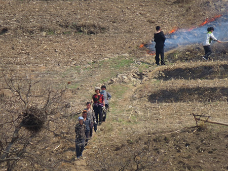 焼き畑などの農作業を行う北朝鮮の人々＝１９日、中国遼寧省丹東から撮影