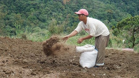 フィリピン・イフガオ州の畑で肥料をまく男性＝１４日