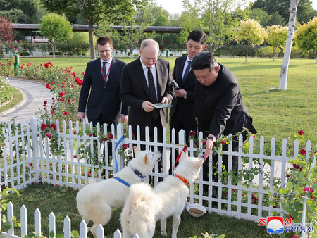 ロシアのプーチン大統領（左から２人目）に豊山犬のつがいを贈る北朝鮮の金正恩朝鮮労働党総書記（右端）＝１９日、平壌（朝鮮通信・時事）
