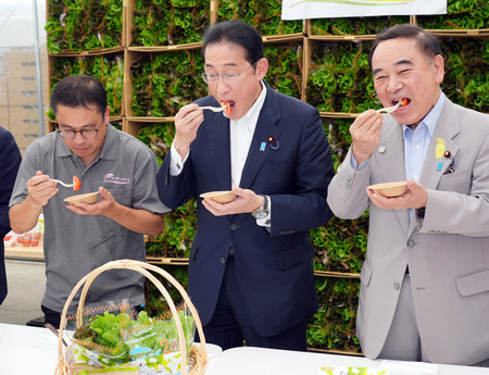 トマトを試食する岸田文雄首相（中央）＝２９日午後、山梨県北杜市のアグリサイト（代表撮影）