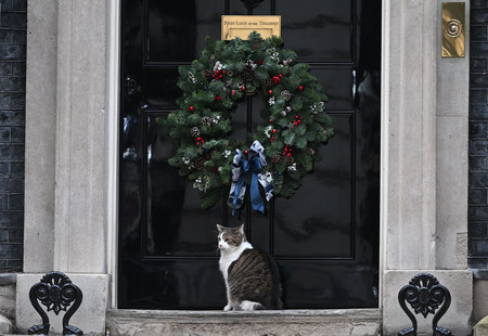 英首相官邸前にたたずむ猫のラリー＝２０２２年１１月、ロンドン（ＡＦＰ時事）