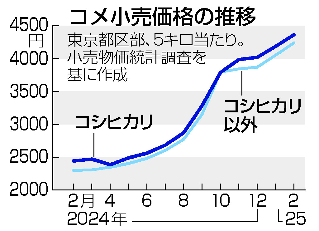 コメ先高観、根強く＝備蓄米放出効果は不透明