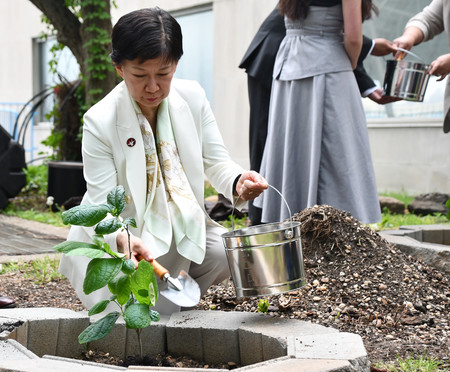 国連本部で被爆樹木の苗木を植樹する中満泉軍縮担当上級代表(事務次長)=5日、ニューヨーク