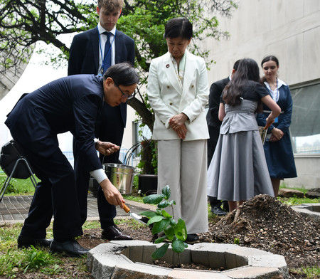 国連本部で被爆樹木の苗木を植樹する山崎和之国連大使(左手前)=5日、ニューヨーク