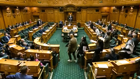 ニュージーランド(NZ)議会の議場で、伝統舞踊「ハカ」を踊る先住民マオリの議員=2024年11月(AFP時事)