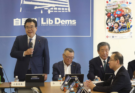 自民党税制調査会の会合で発言する後藤茂之小委員長（左）。中央は宮沢洋一会長＝２３日午後、東京・永田町の同党本部