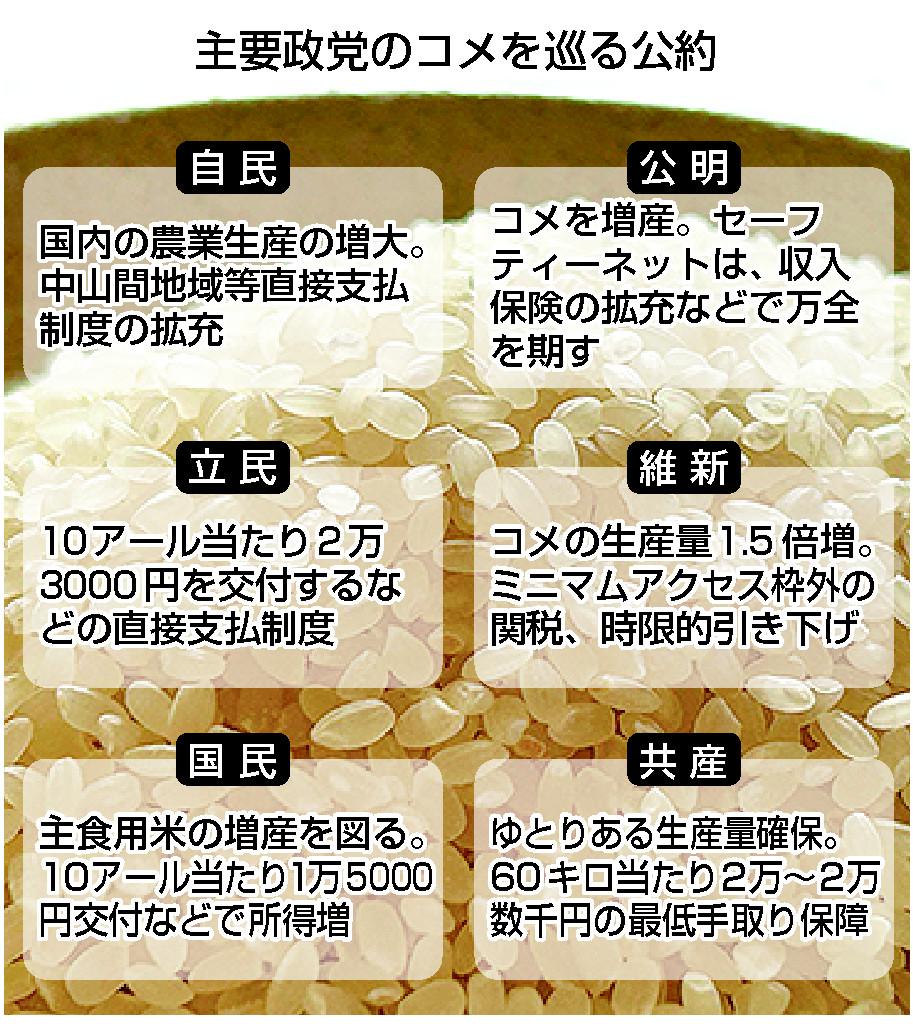 令和コメ騒動、政策論議深まらず＝「増産」大合唱も中長期視点欠く―「深掘り・日本の課題」【２５参院選】